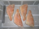 FROZEN RED FISH FILLETS